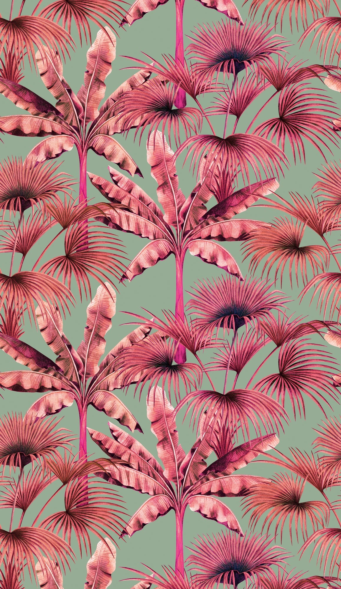 Fototapete Palmen Rosa Pink - 1,59 m x 2,80 m