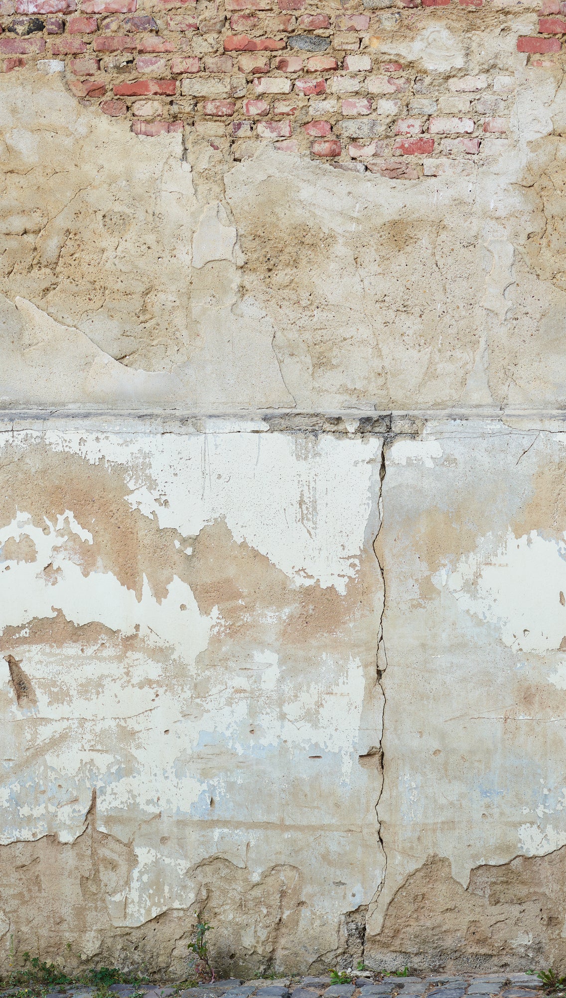Fototapete Putzwand Beige - 1,59 m x 2,80 m