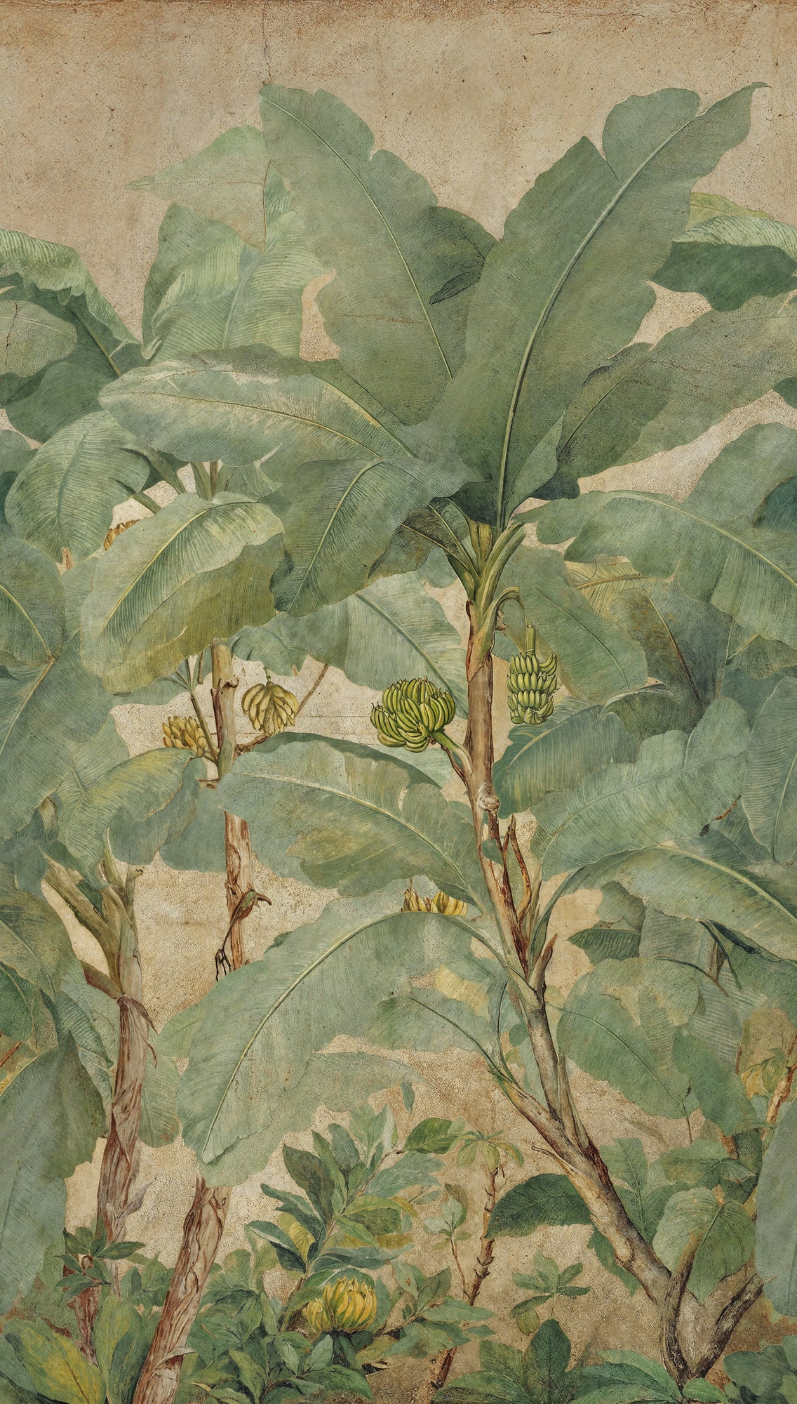 Fototapete Bananenblätter Beige Grün - 1,59 m x 2,80 m