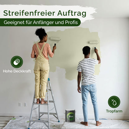 Wandfarbe Limettgrün Matt – Gentle Lime Innenfarbe Veluxis®