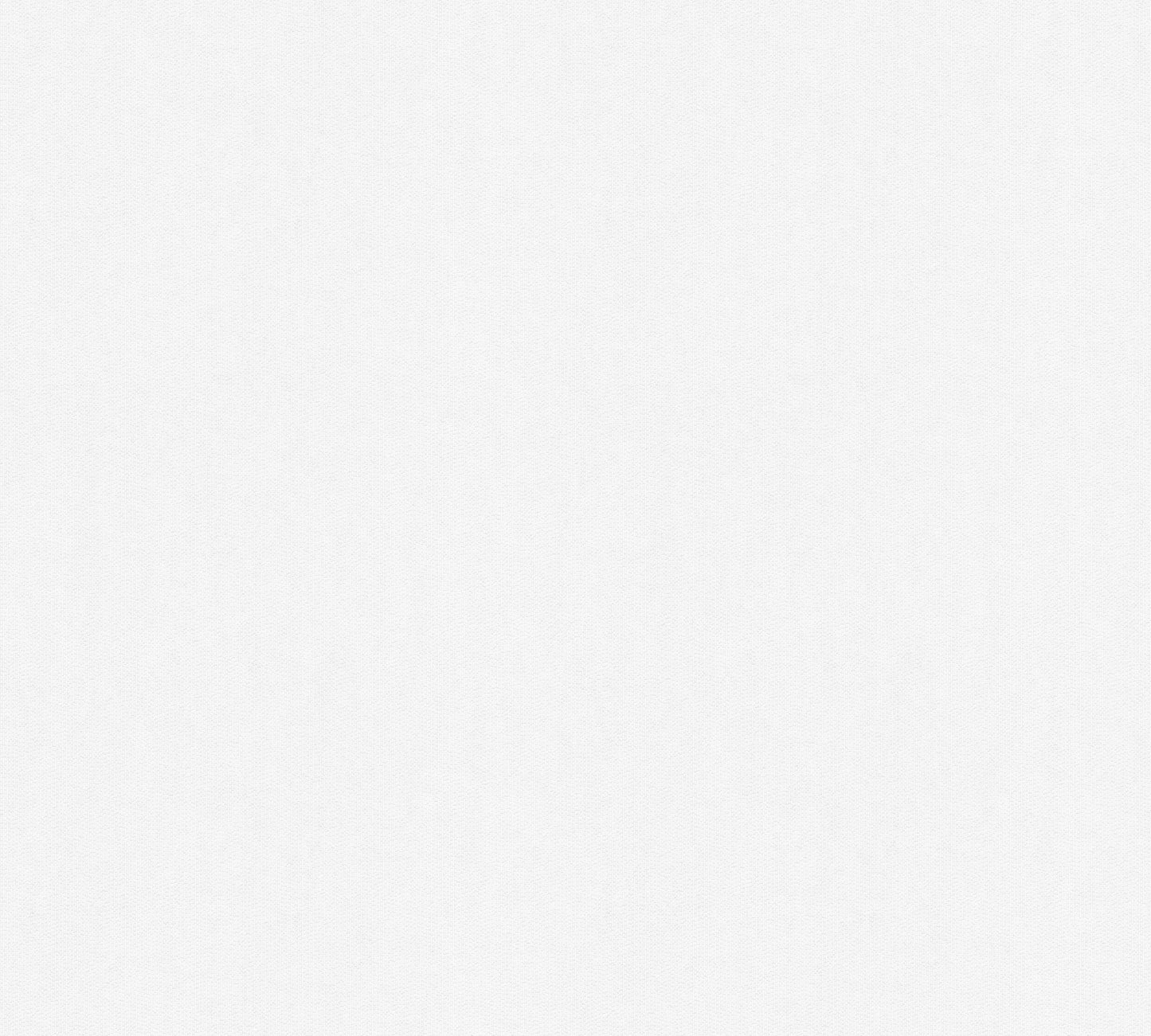 Meistervlies Pro Vliestapete überstreichbar Weiß 25 m x 1,06 m