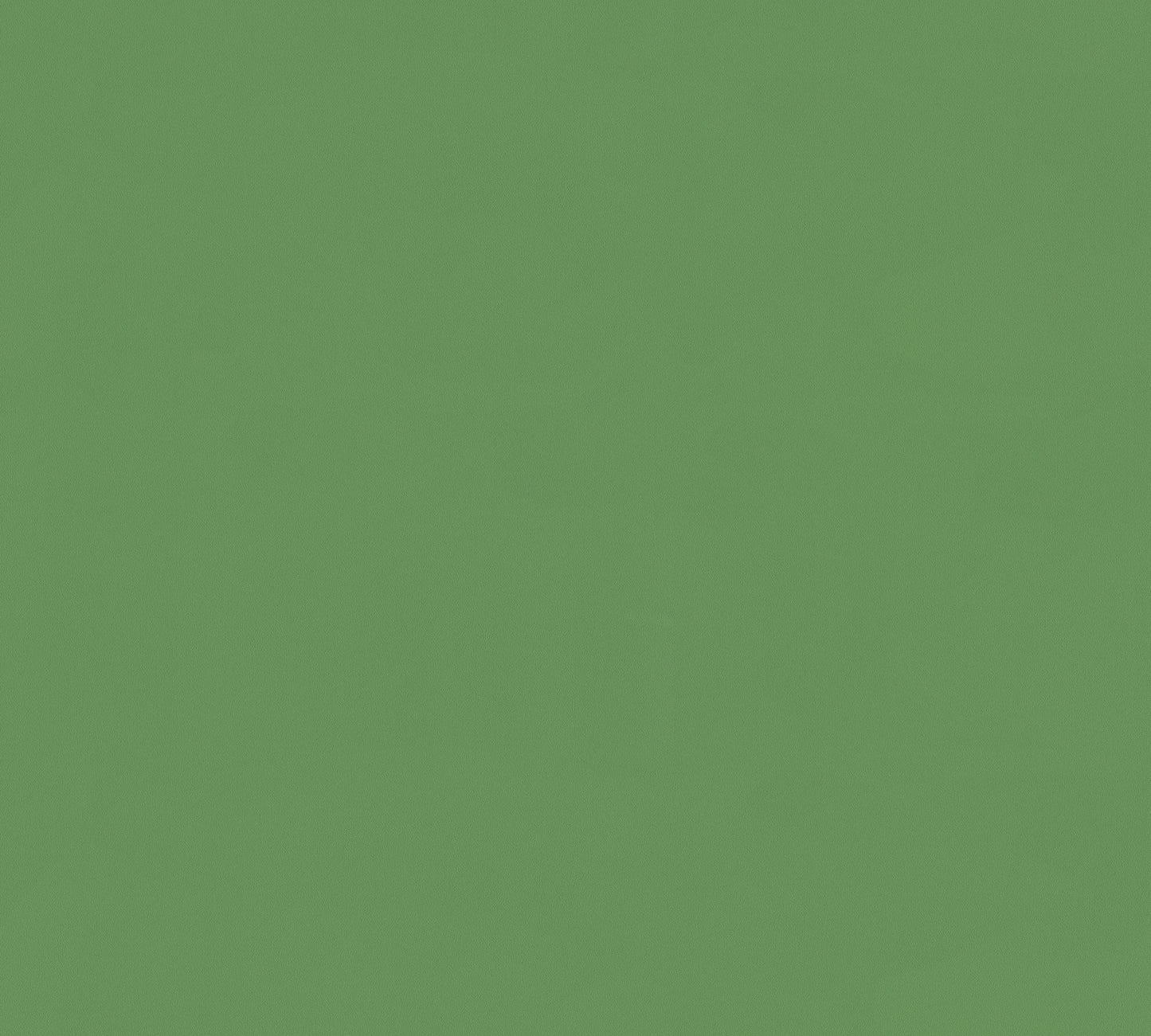 Architects Paper Longlife Colours Vinyl-Vliestapete Grün 21,00 m x 1,06 m