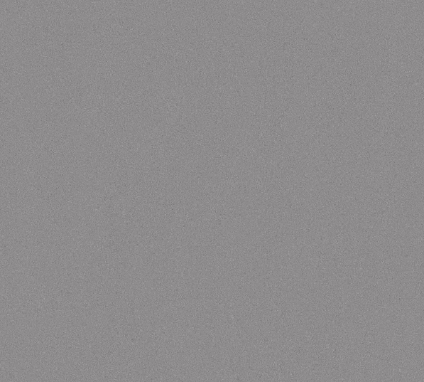 Björn Vinyl-Vliestapete Grau 10,05 m x 0,53 m