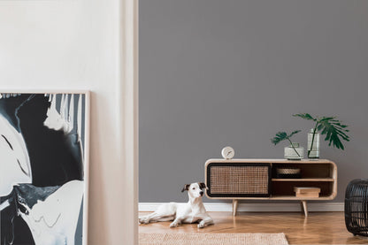 Björn Vinyl-Vliestapete Grau 10,05 m x 0,53 m