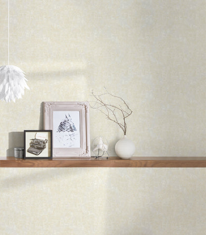 Architects Paper Di Seta Vlies-Textiltapete Beige Grau 10,05 m x 0,70 m