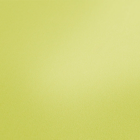 Livingwalls Lola Paris Vinyl-Vliestapete Grün 10,05 m x 0,53 m