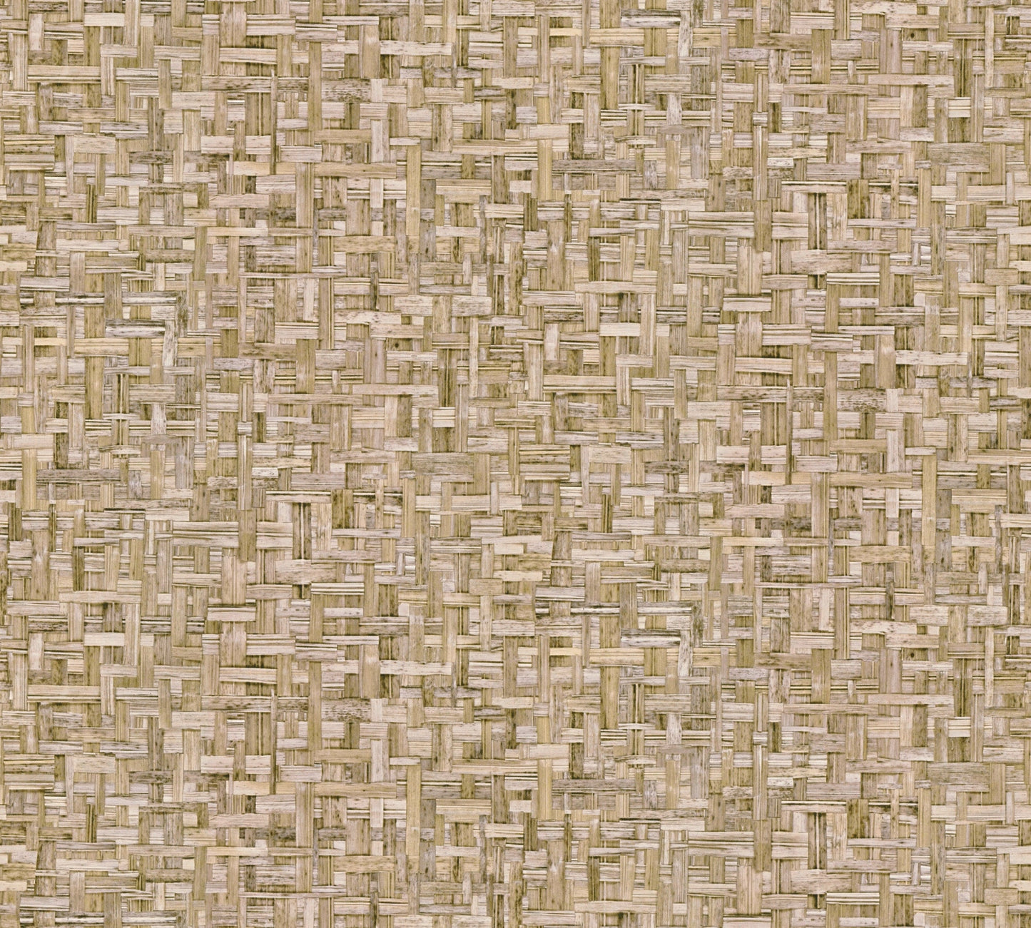Architects Paper Jungle Chic Vliestapete in Flechtoptik Braun Beige 10,05 m x 0,53 m