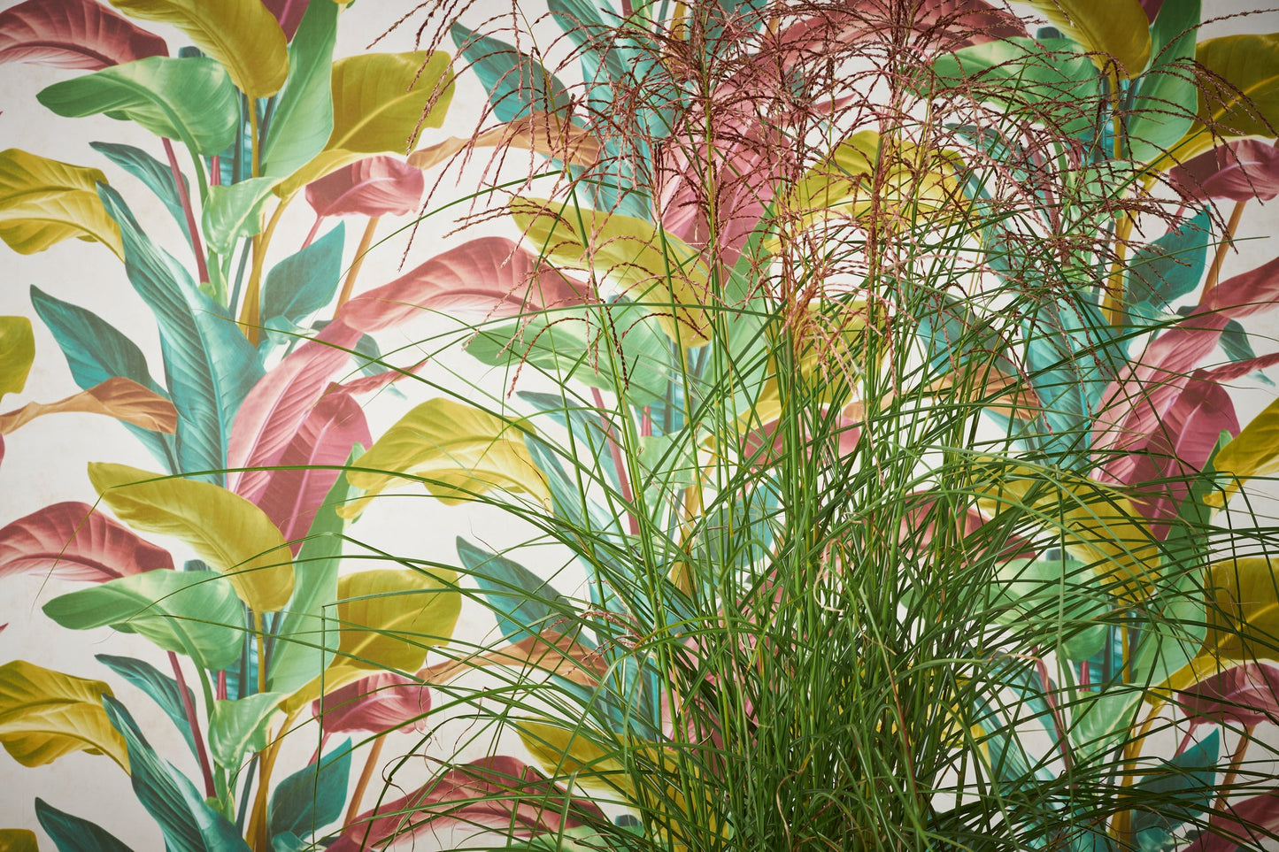Livingwalls Antonio Barcelona Vinyl-Vliestapete Bunt Grün Gelb 10,05 m x 0,53 m