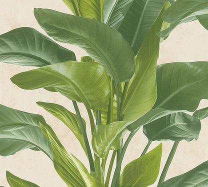 Livingwalls Antonio Barcelona Vinyl-Vliestapete Grün Creme 10,05 m x 0,53 m