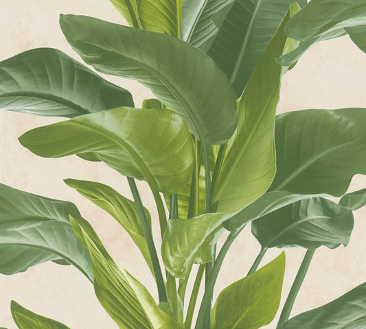 Livingwalls Antonio Barcelona Vinyl-Vliestapete Grün Creme 10,05 m x 0,53 m