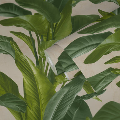 Livingwalls Antonio Barcelona Vinyl-Vliestapete Grün Creme 10,05 m x 0,53 m