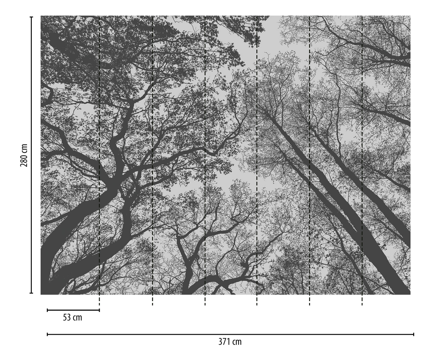 Fototapete Wald Bäume Schwarz Weiß - 3,71 m x  2,80 m