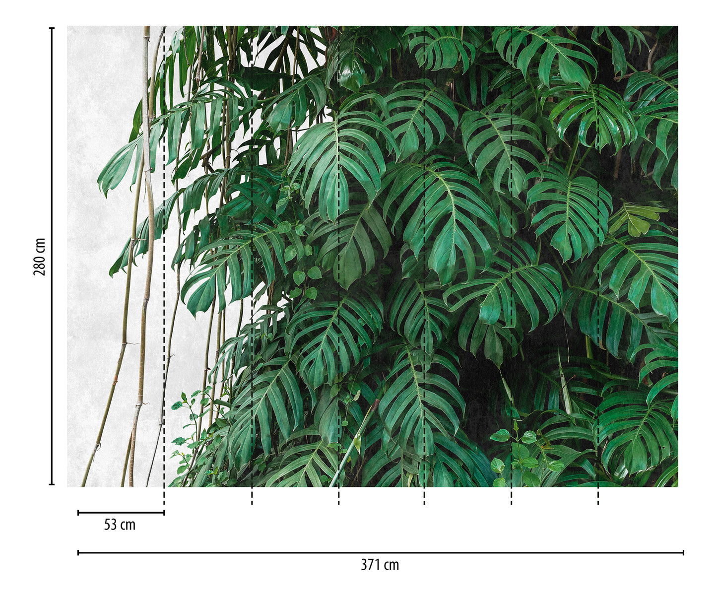 Fototapete Monstera Jungle Wand – 3,71 m x 2,80 m