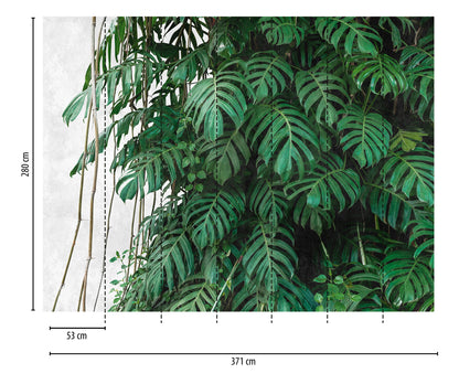 Fototapete Monstera Jungle Wand – 3,71 m x 2,80 m