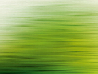 Fototapete Abstrakt Grün - 3,71 m x  2,80 m
