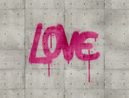 Fototapete Graffiti Pink - 3,71 m x  2,80 m