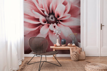 Fototapete Blume Rosa Beige - 3,71 m x  2,80 m