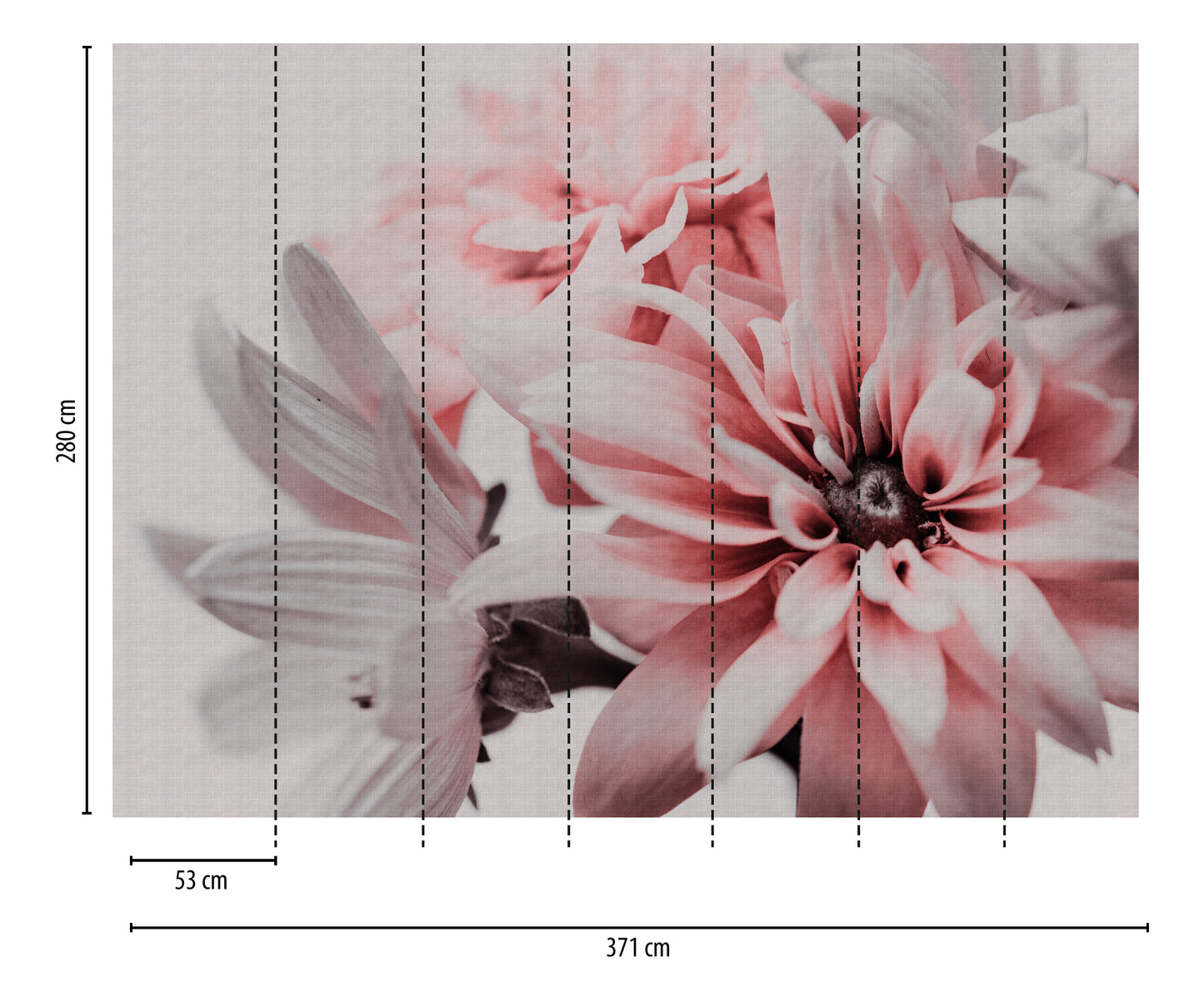 Fototapete Blume Rosa Beige - 3,71 m x  2,80 m