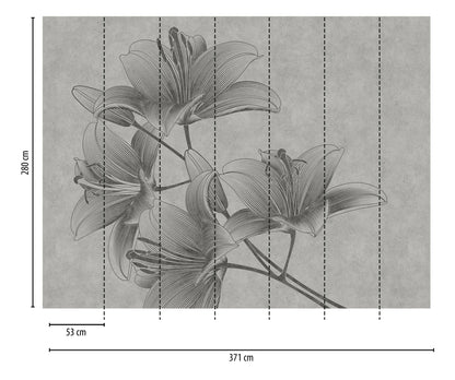 Fototapete Lilien Grau - 3,71 m x  2,80 m