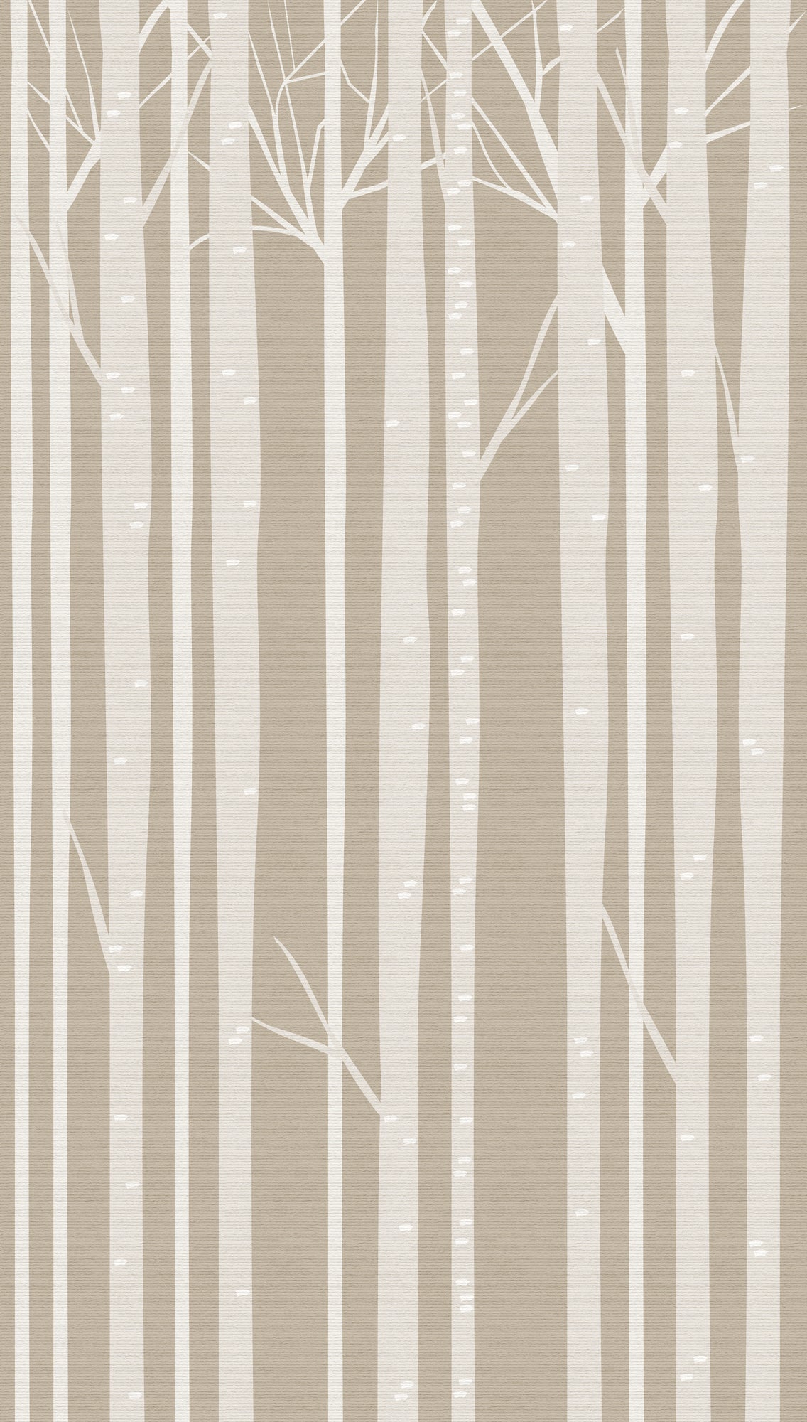 Fototapete Birkenwald Beige Weiß - 1,59 m x 2,80 m