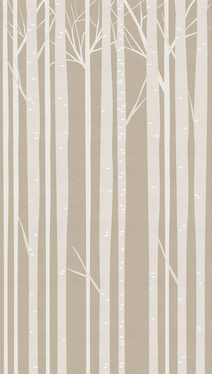 Fototapete Birkenwald Beige Weiß - 1,59 m x 2,80 m