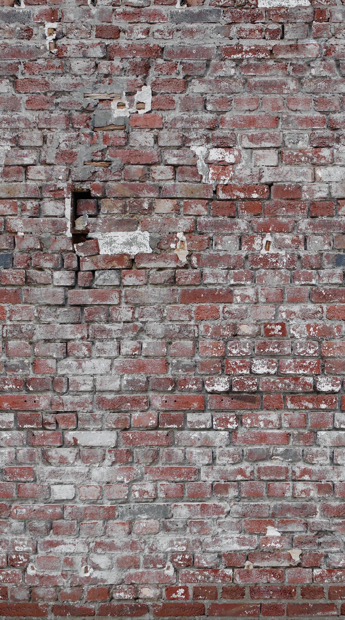 Fototapete Backsteinwand Rot Grau - 1,59 m x 2,80 m