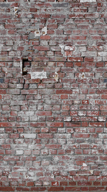 Fototapete Backsteinwand Rot Grau - 1,59 m x 2,80 m