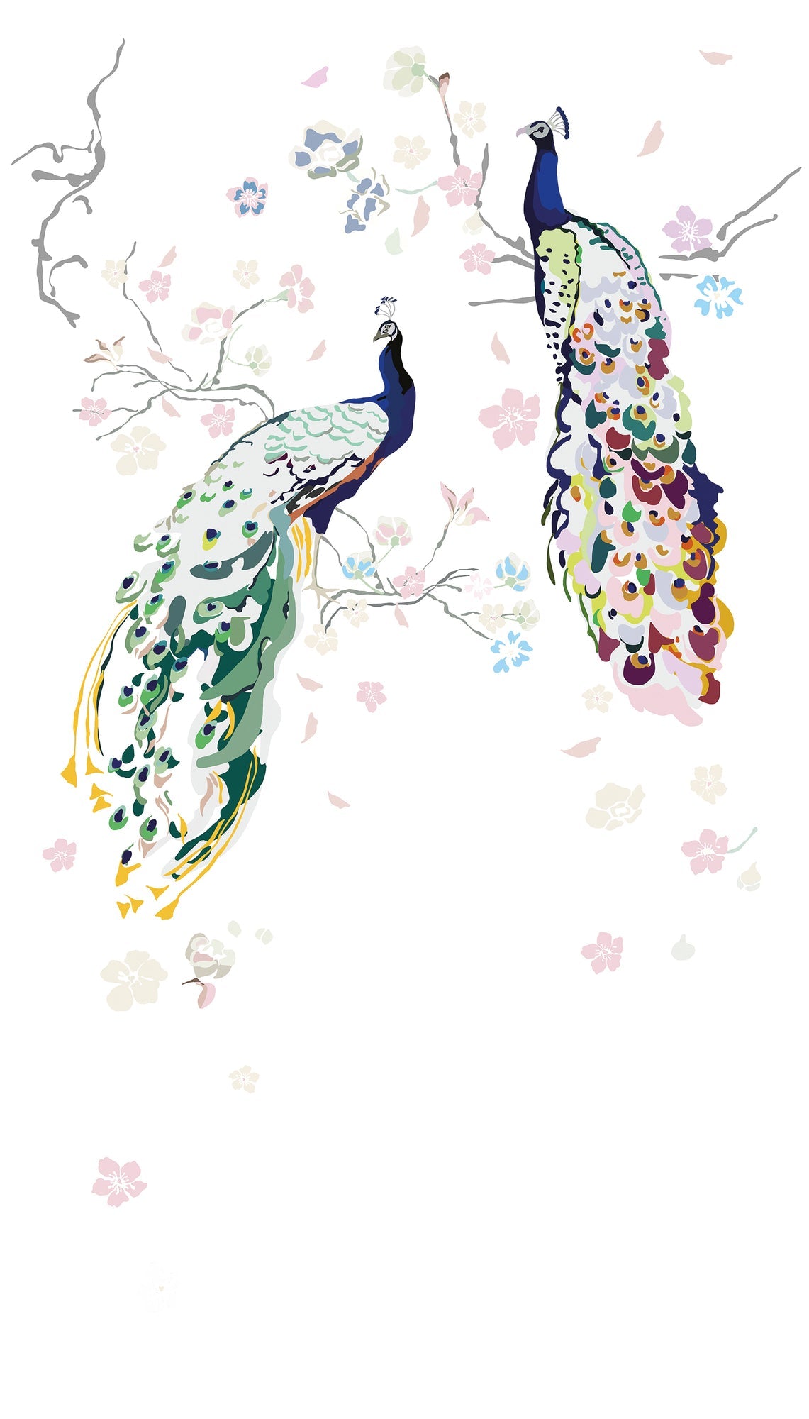 Fototapete Pfau Pastell - 1,59 m x 2,80 m