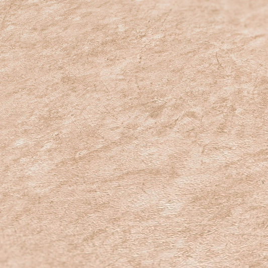 Livingwalls Zoe Miami Uni Vliestapete Hellbraun Beige 10,05 m x 0,53 m