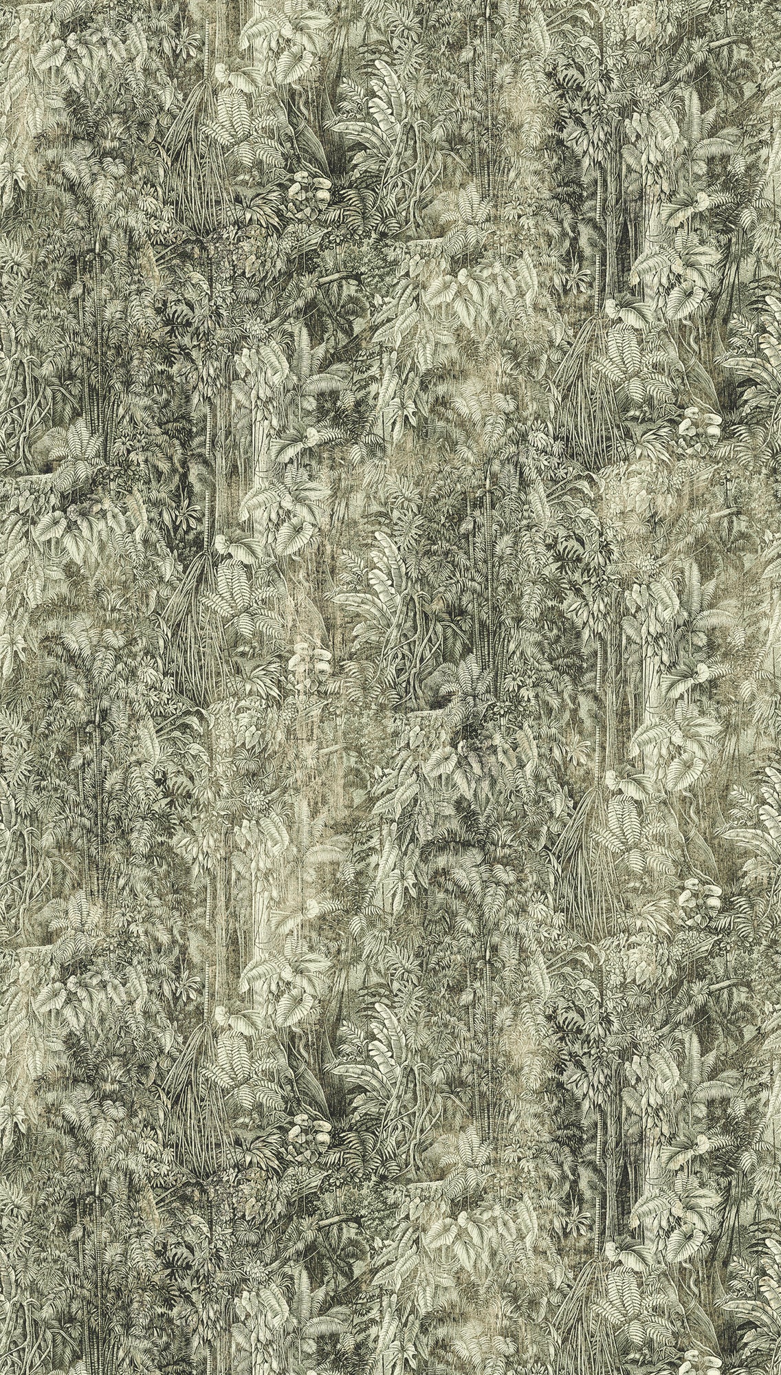 Fototapete Botanisches Relief Grau - 1,59 m x 2,80 m