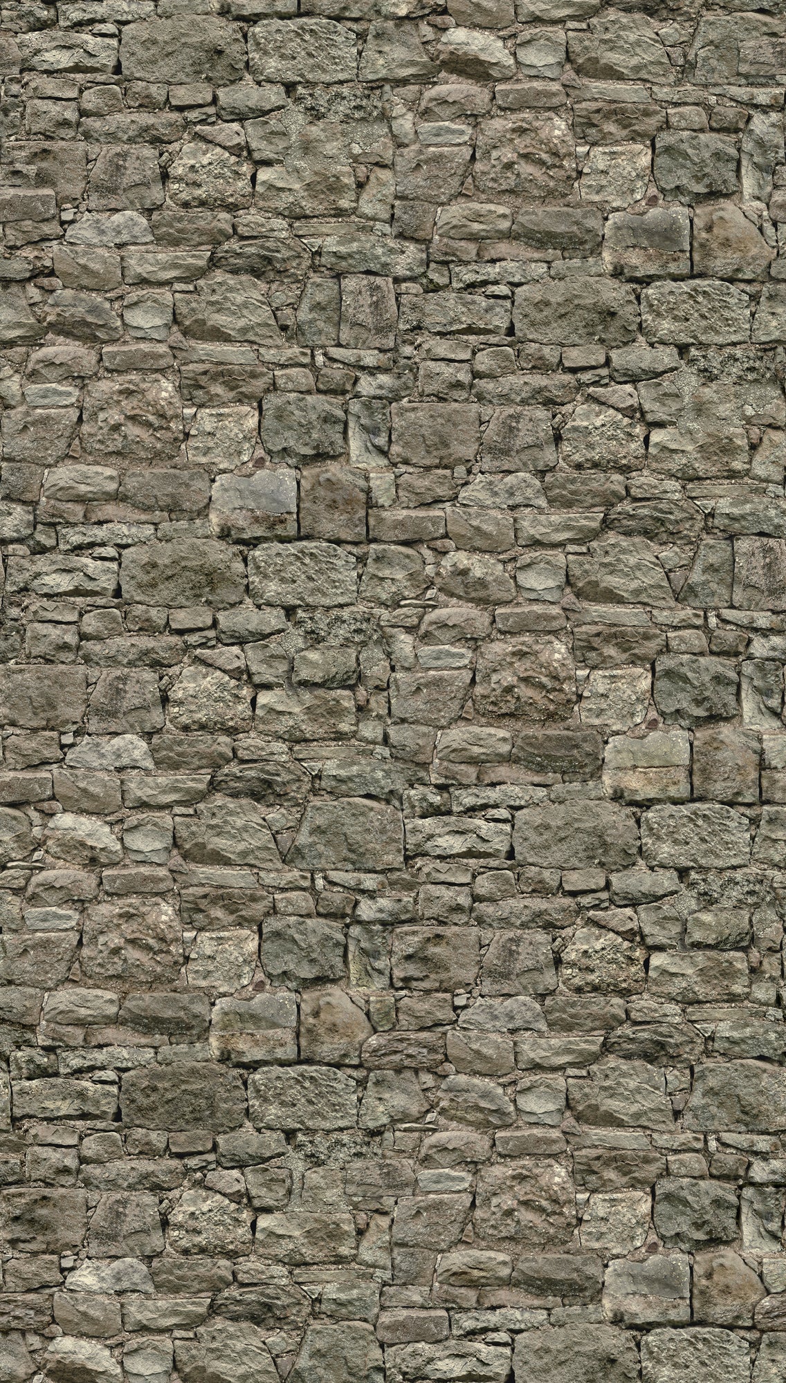 Fototapete Natursteinwand Grau - 1,59 m x 2,80 m