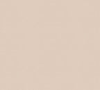 Dayrun Vinyl-Vliestapete 10,05 m x 1,06 m