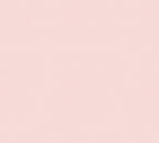 Dayrun Vinyl-Vliestapete 10,05 m x 1,06 m