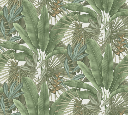 della Natura Vinyl-Vliestapete 10,05 m x 1,06 m