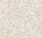 Pacifica Vinyl-Vliestapete 10,05 m x 1,06 m