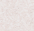 Pacifica Vinyl-Vliestapete 10,05 m x 1,06 m