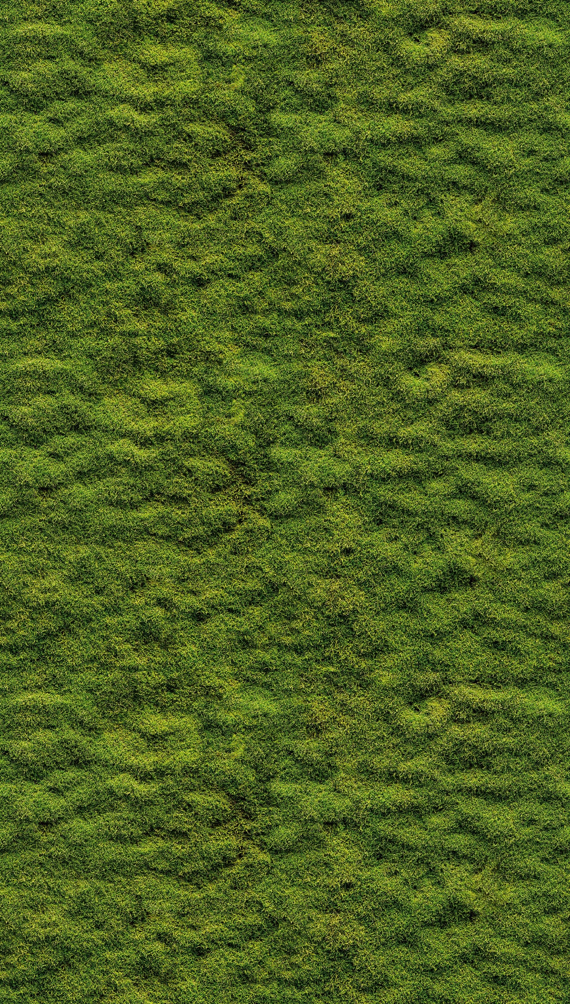 Fototapete Mooswand Grün – 1,59 m x 2,80 m