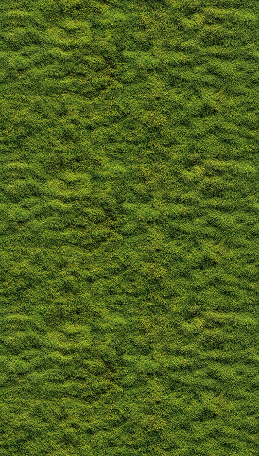 Fototapete Mooswand Grün – 1,59 m x 2,80 m
