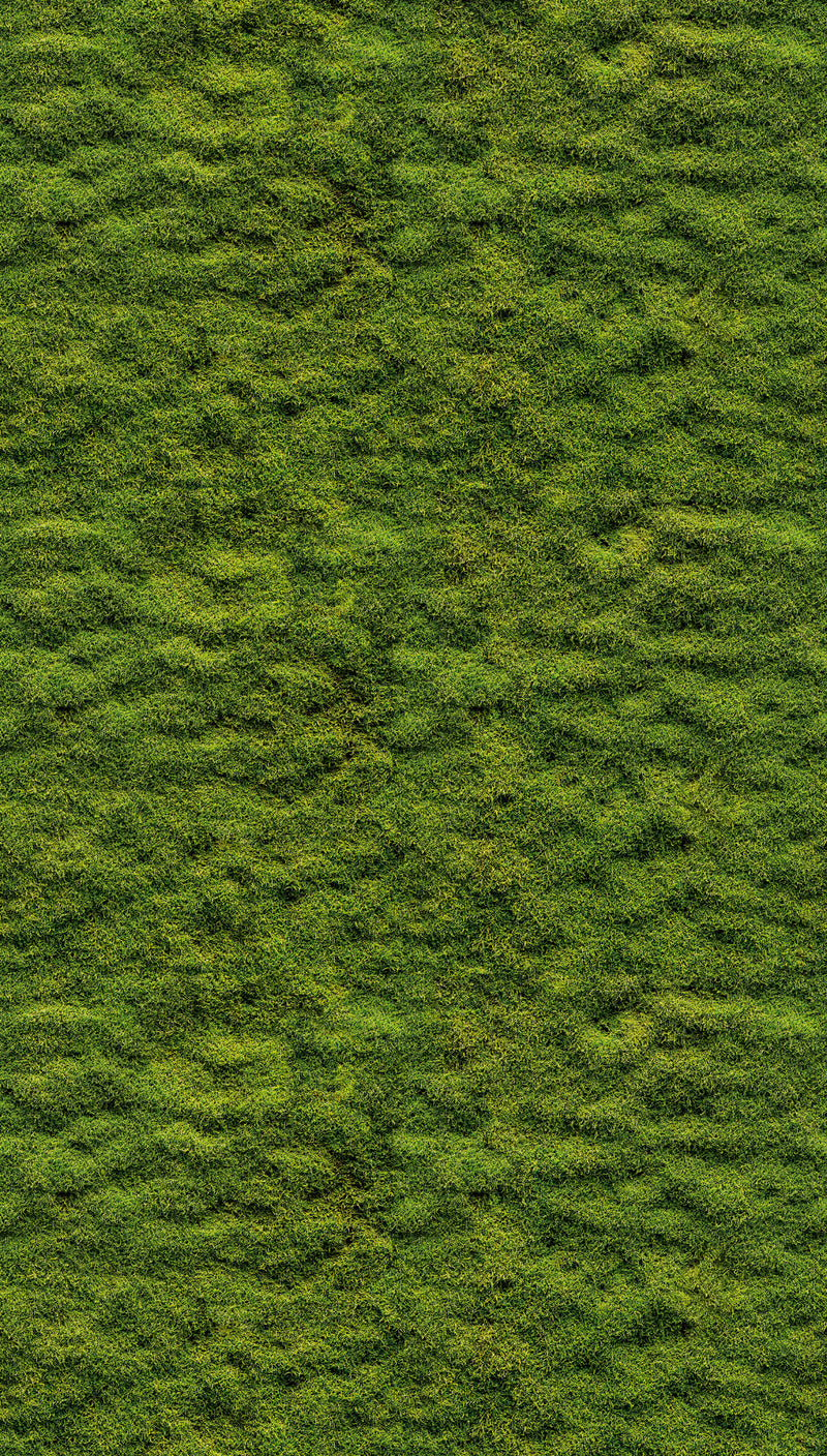 Fototapete Mooswand Grün – 1,59 m x 2,80 m