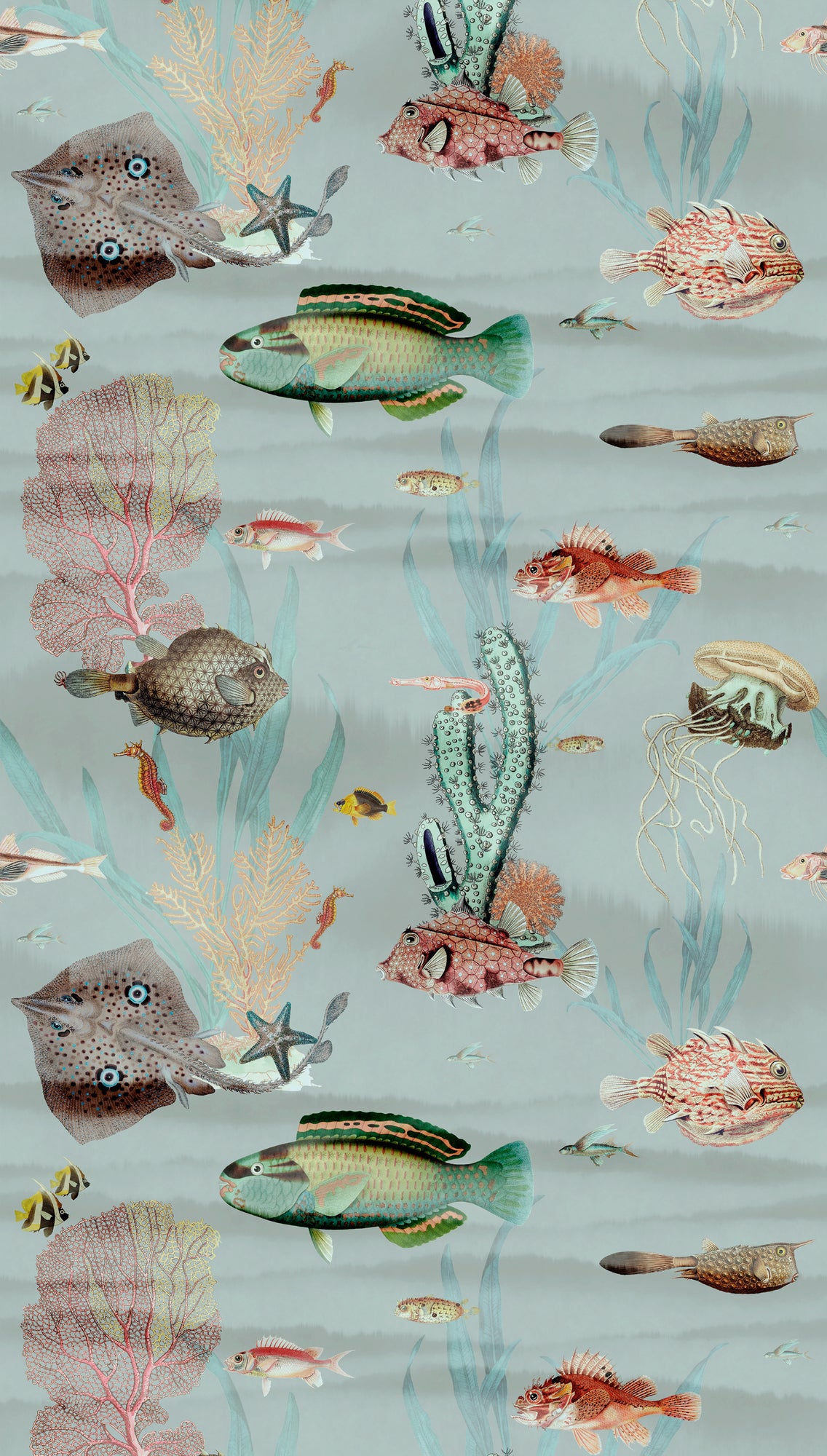 Fototapete Meereswelt Fische – 1,59 m x 2,80 m