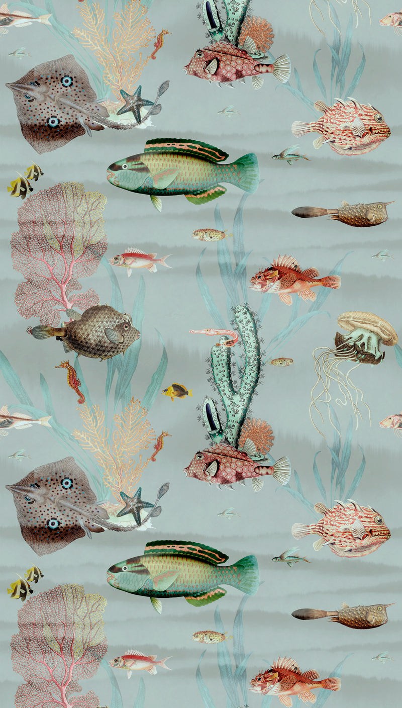 Fototapete Meereswelt Fische – 1,59 m x 2,80 m