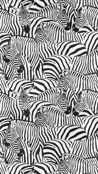 Fototapete Zebras Schwarz Weiß - 1,59 m x 2,80 m