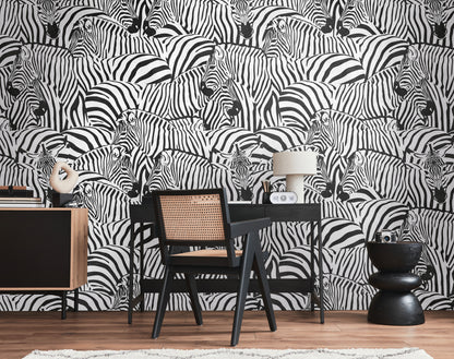 Fototapete Zebras Schwarz Weiß - 1,59 m x 2,80 m