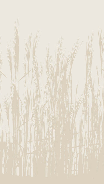 Fototapete Schilf Beige - 1,59 m x 2,80 m
