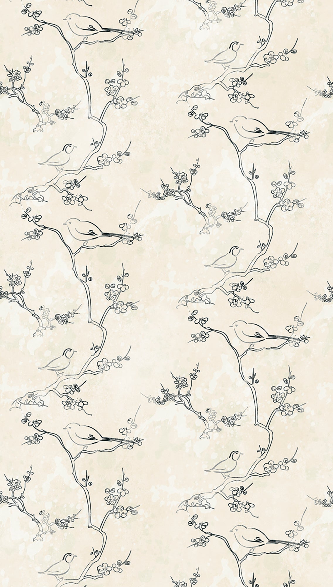 Fototapete Vögel Zweige Beige Grau - 1,59 m x 2,80 m