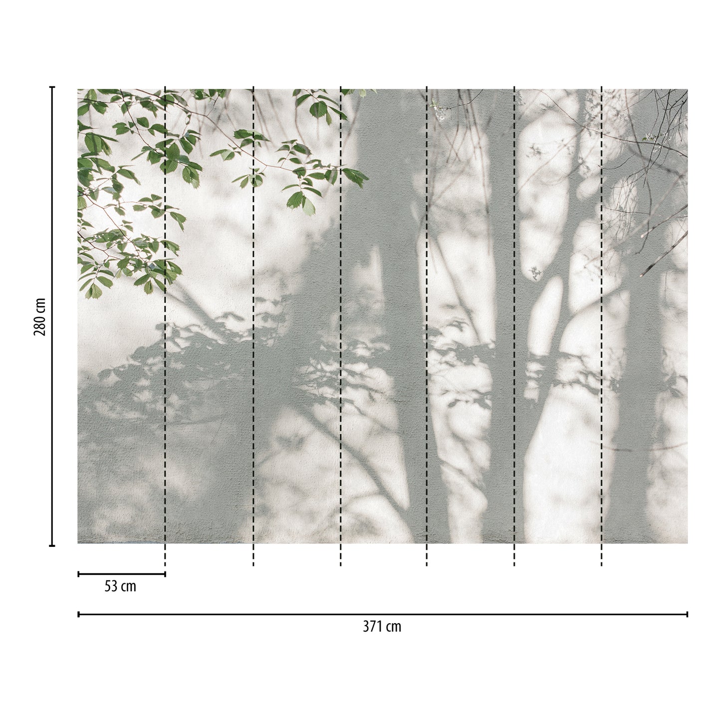 Fototapete Schatten Blätter – 3,71 m x 2,80 m