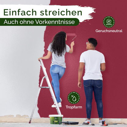 Wandfarbe Rosa Matt – Rosy Raspberry Innenfarbe Veluxis®