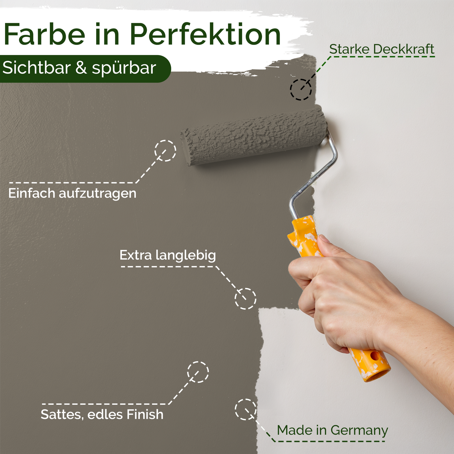 Universal Wandfarbe Aesthetic Ajwain – Deckend & Geruchsarm