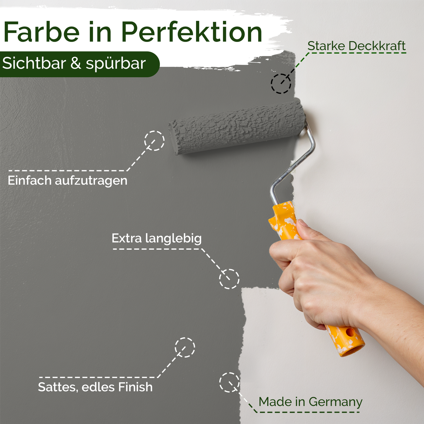 Universal Wandfarbe Miraculous Mackerel – Deckend & Geruchsarm