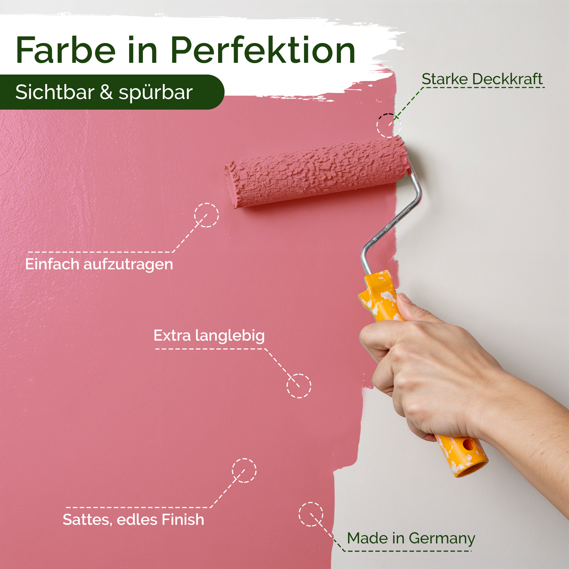 Universal Wandfarbe Rosy Raspberry – Deckend & Geruchsarm